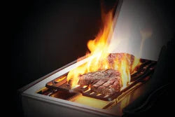 Napoleon Rogue SE 425 Gas Grills - image 2